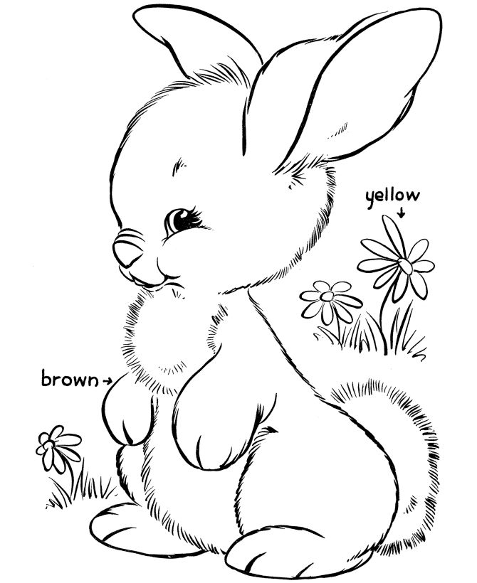 670x820 Drawn Bunny Coloring Page