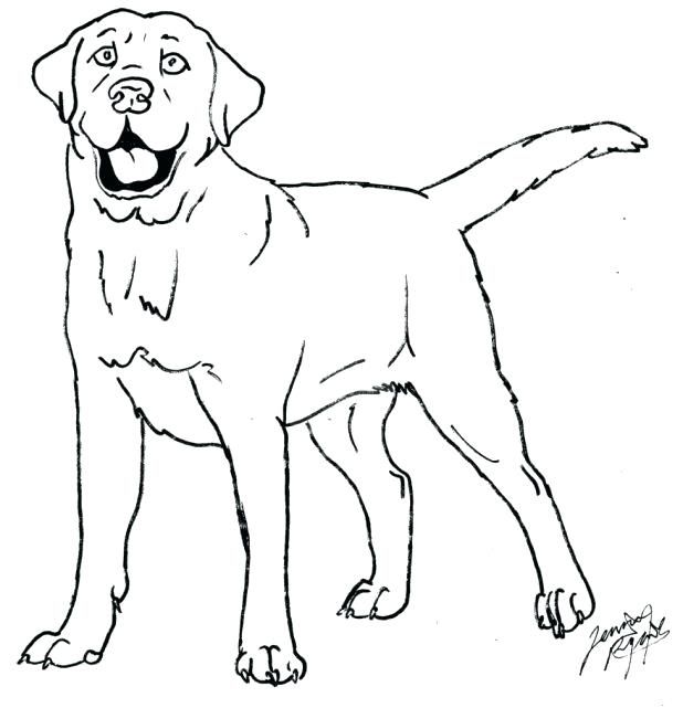 618x641 Coloring Pages Coloring Page Coloring Pages Coloring Page By Pages