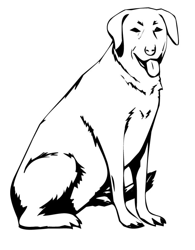 630x810 Labrador Coloring Pages Beautiful Chocolate Lab Cartoon Coloring