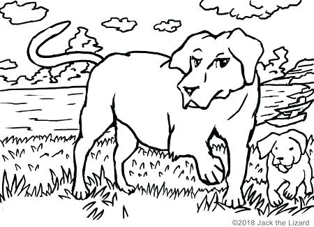 450x325 Retriever Coloring Pages Coloring Pages Of Retrievers Retriever