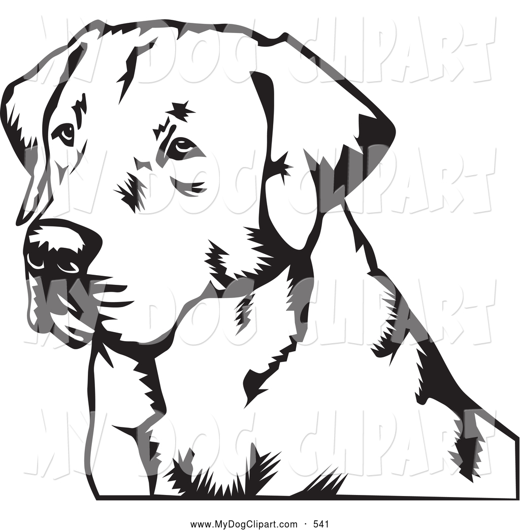 1024x1044 Category Coloring Pages Sub Category Labrador Retriever Coloring