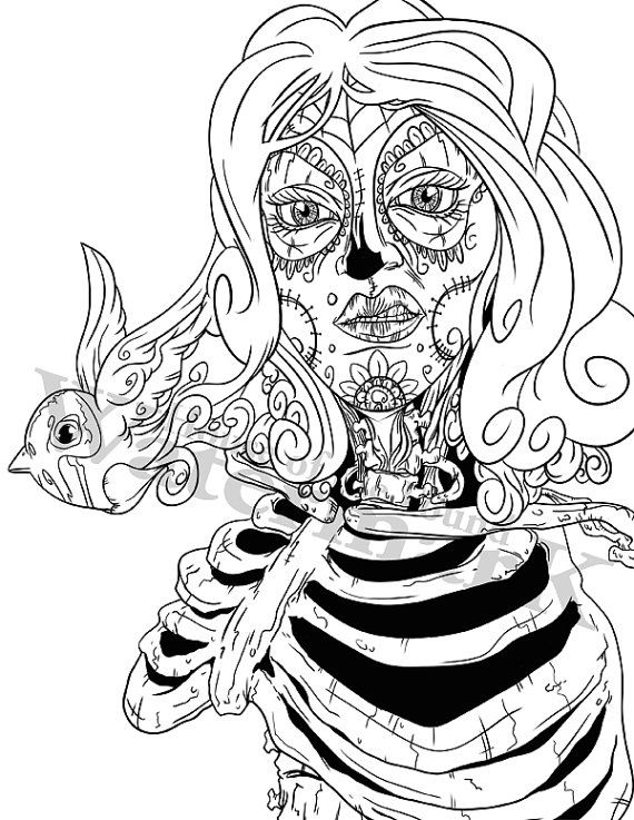 570x737 Coloring Pages, Adult Coloring Book, Coloring Book, Coloring Book