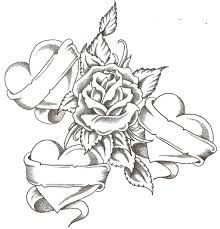 220x229 Orchid Flower Drawing In Pencil