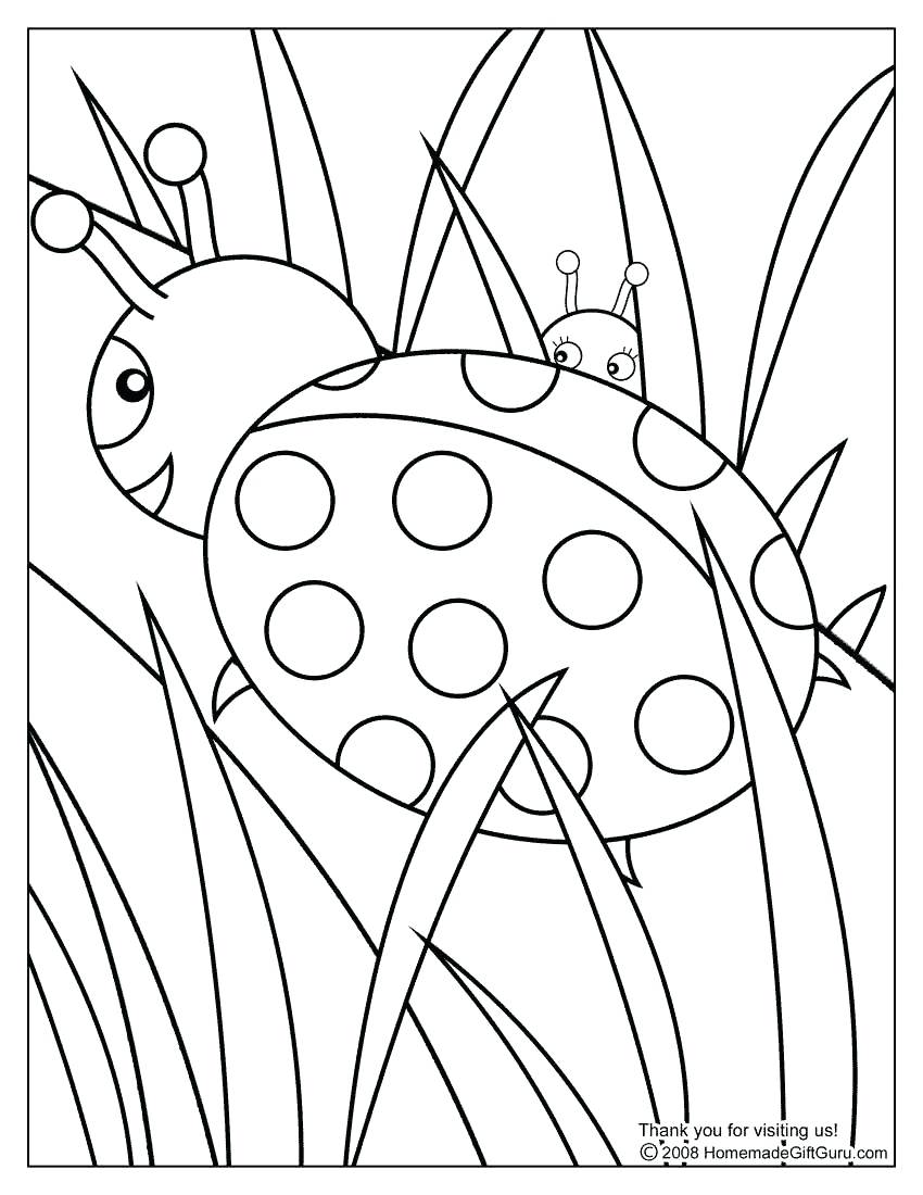 850x1100 Coloring Pages ~ Free Printable Color Pages Frog Coloring Spring