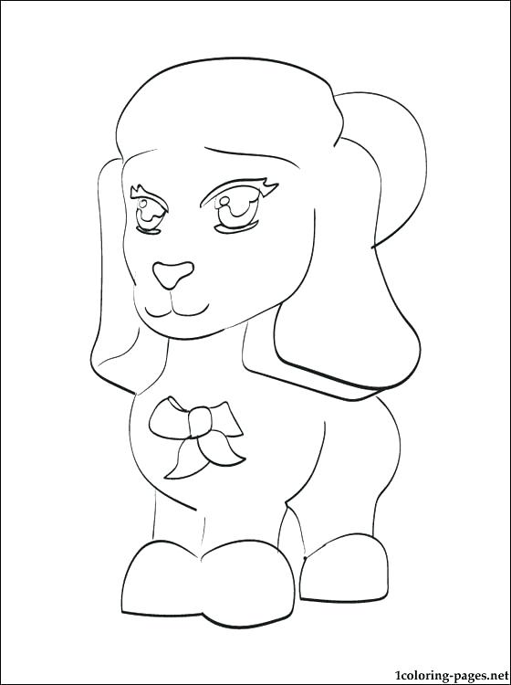 Chow Chow Coloring Pages
