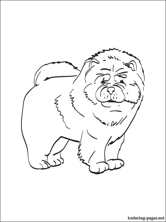 560x750 Chow Chow Coloring Page Coloring Pages