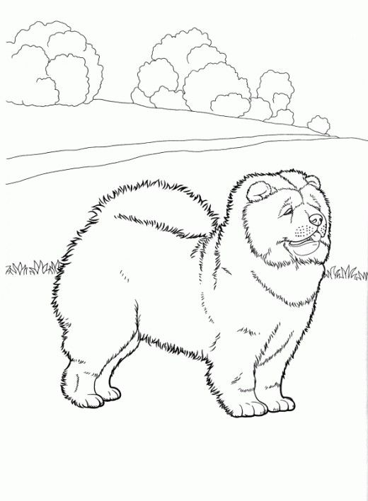 520x708 Best Dog Coloring Pages Dog, Free Dogs And Stress Reliever