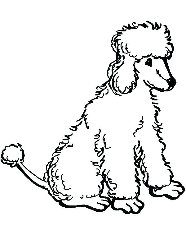 600x756 Poodle Coloring Page Coloring Poodle Puppy Coloring Pages