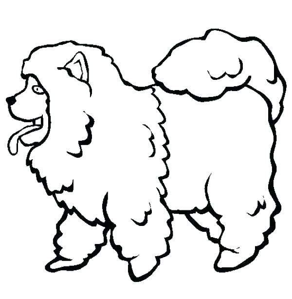 600x614 Poodle Coloring Page Poodle Coloring Pages To Print Poodle
