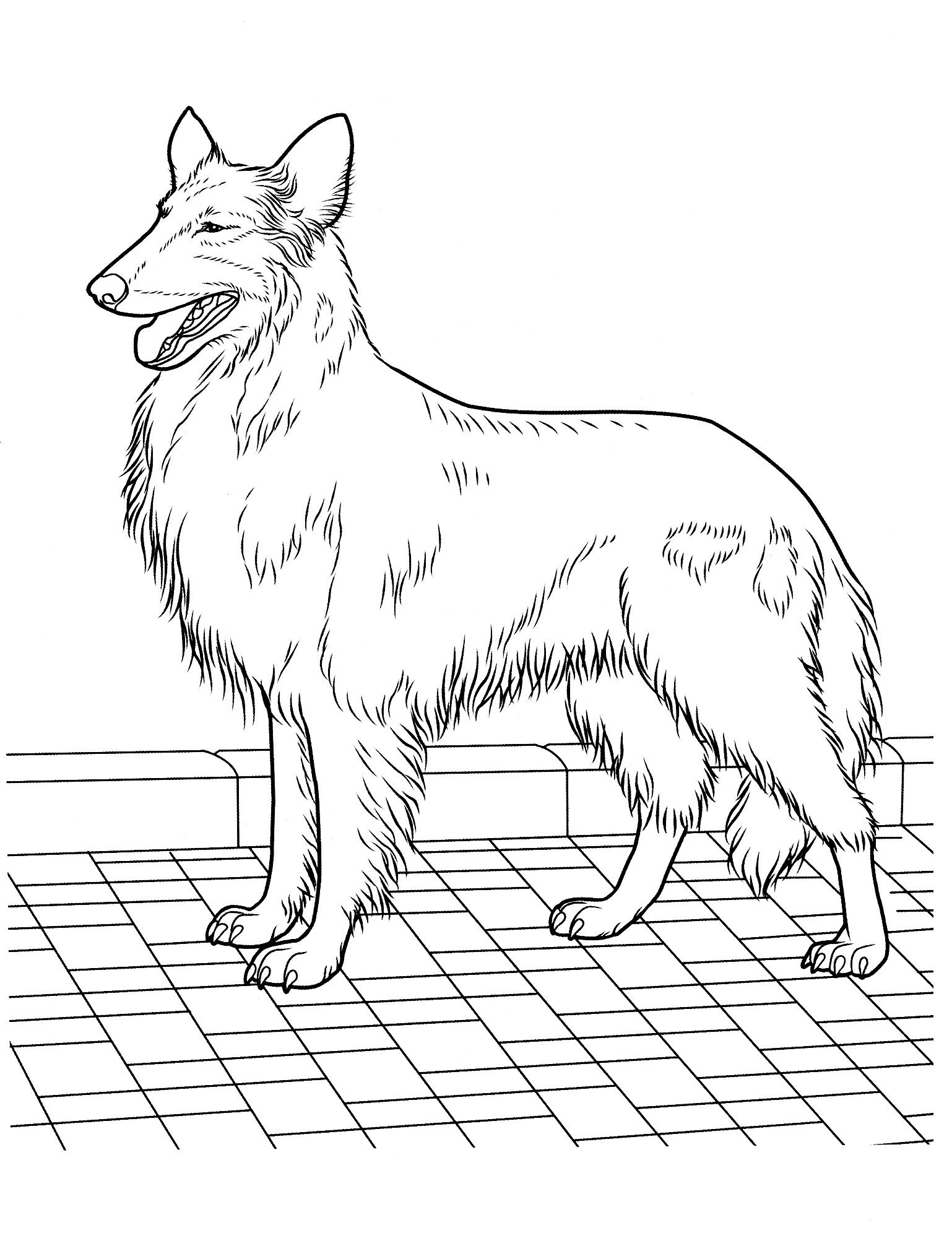 1538x2013 Dog Coloring Pages 22 Teenagers Coloring Pages Favorite Dog