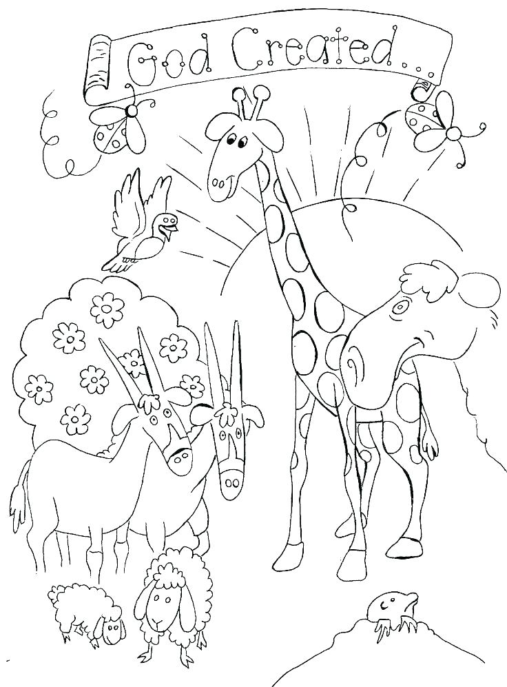 736x997 Free Sunday School Coloring Pages Elegant Free Bible Coloring