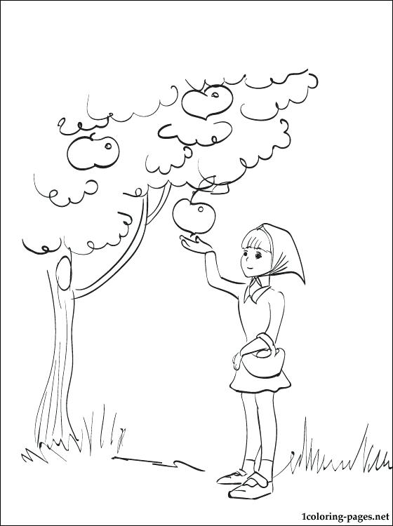 560x750 Coloring Harvest Coloring Page Autumn Christian Pages. Harvest