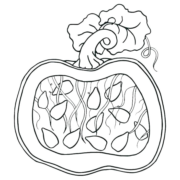 736x736 Christian Pumpkin Coloring Pages Pumpkin Color Pages Christian