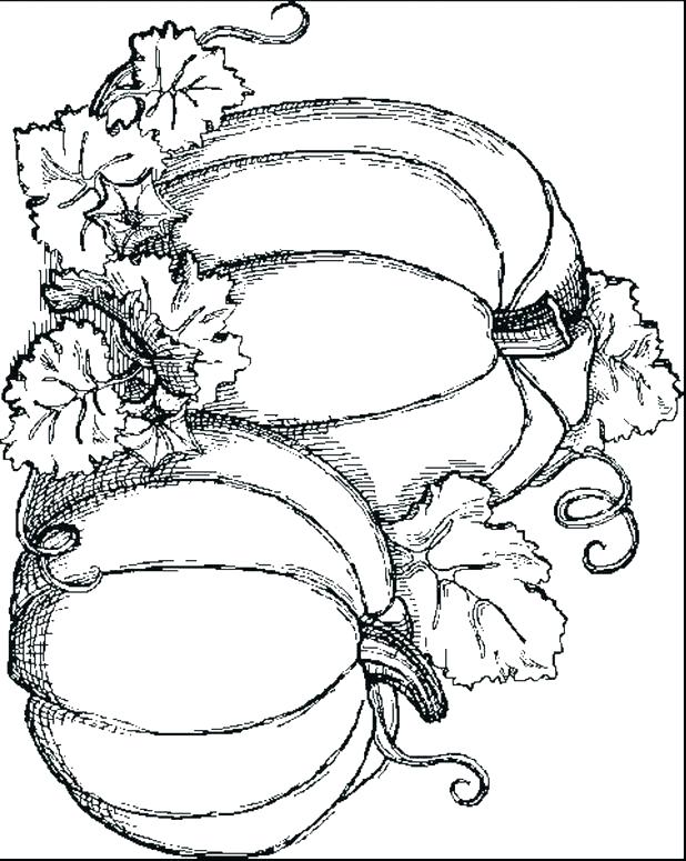 618x775 Pumpkin Coloring Pages Pumpkin Coloring Page Blank Pumpkin