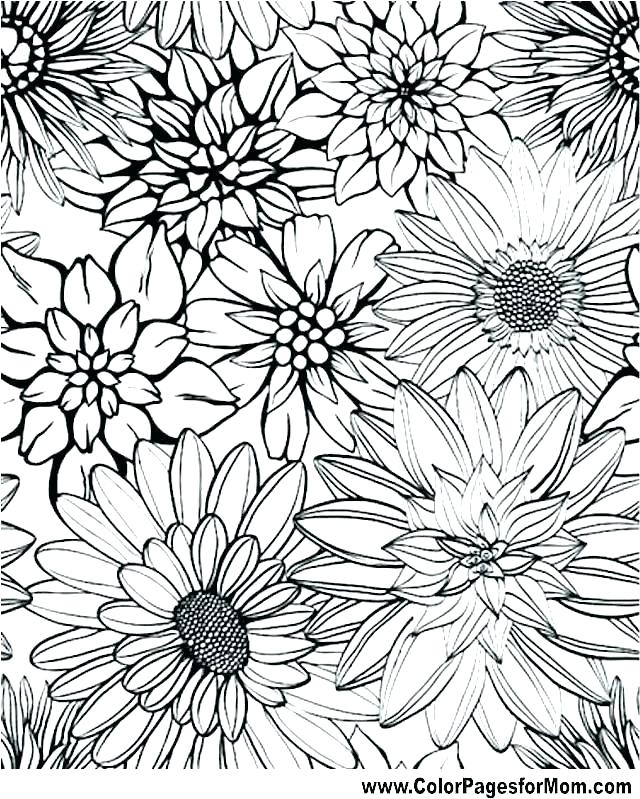 640x799 Advanced Coloring Pages To Print Advanced Coloring Pages Advanced