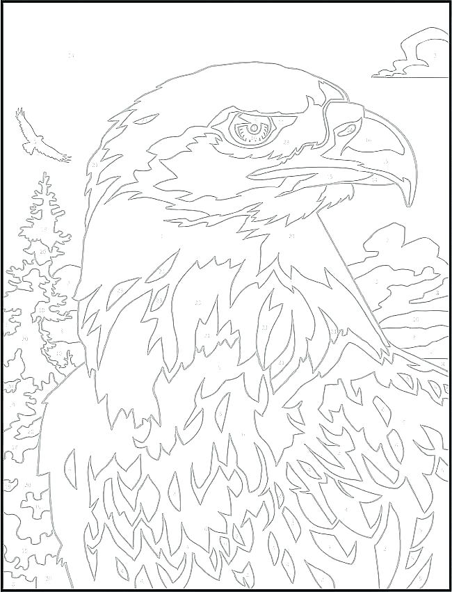 650x851 Advanced Color By Number Coloring Pages Full Size Of By Number