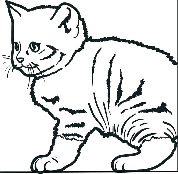 700x688 Christmas Cat Coloring Pages Shippa.co