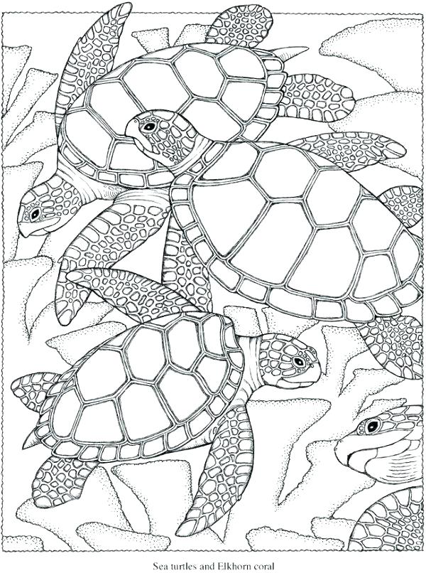 600x806 Difficult Christmas Coloring Pages Coloring Books Printable