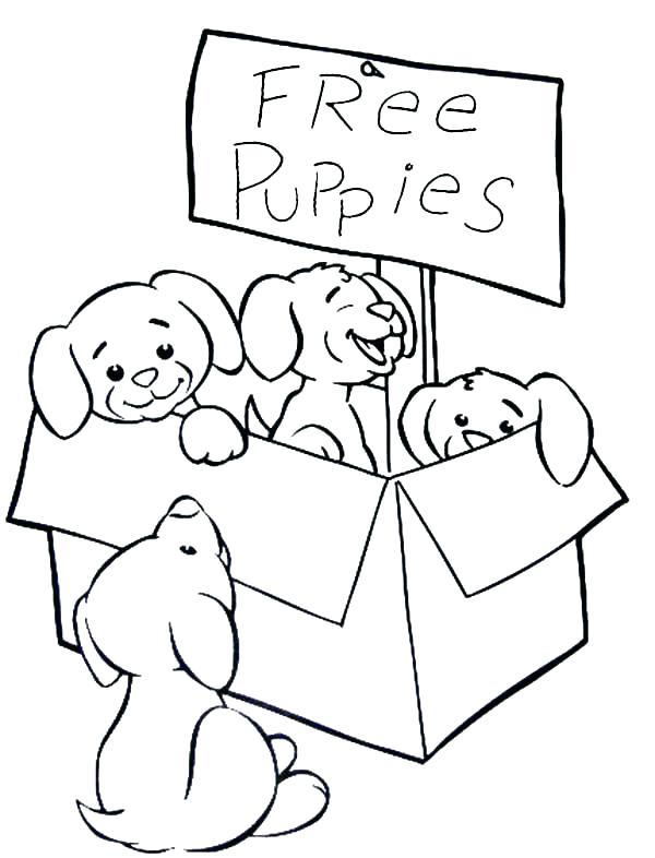 600x786 Puppy Coloring Page Puppies Coloring Page Cute Puppies Coloring