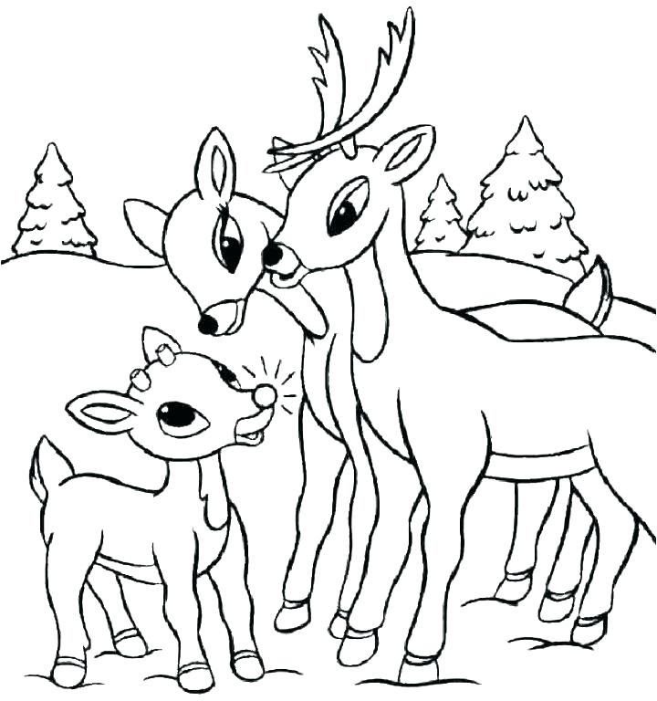 720x768 Deer Coloring Pages Lovely White Tailed Deer Coloring Pages Best