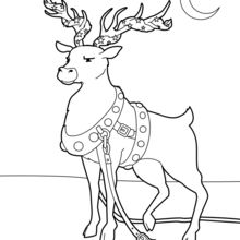 220x220 Santa's Reindeer Coloring Pages