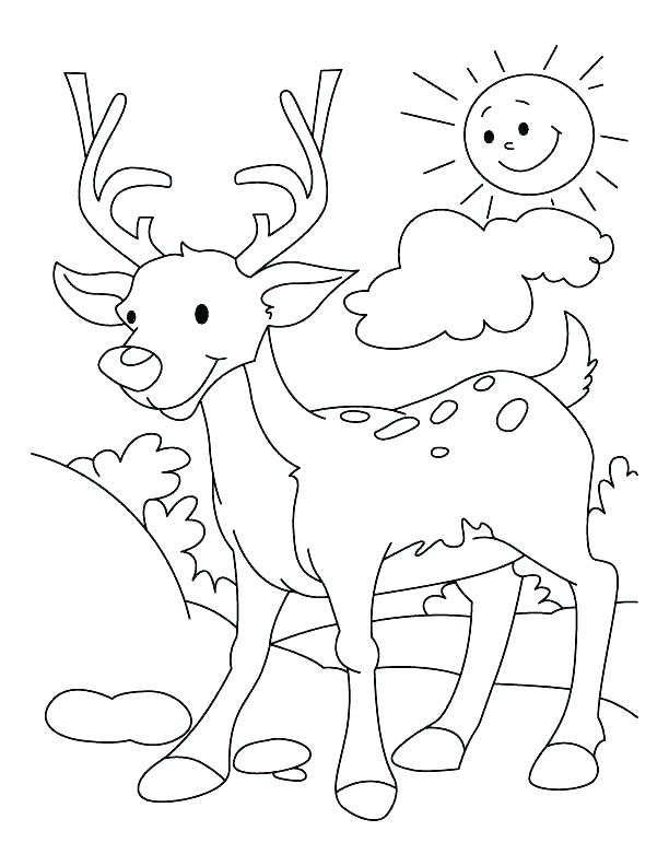 612x792 Christmas Reindeer Coloring Pages Coloring Pages Reindeer Sea