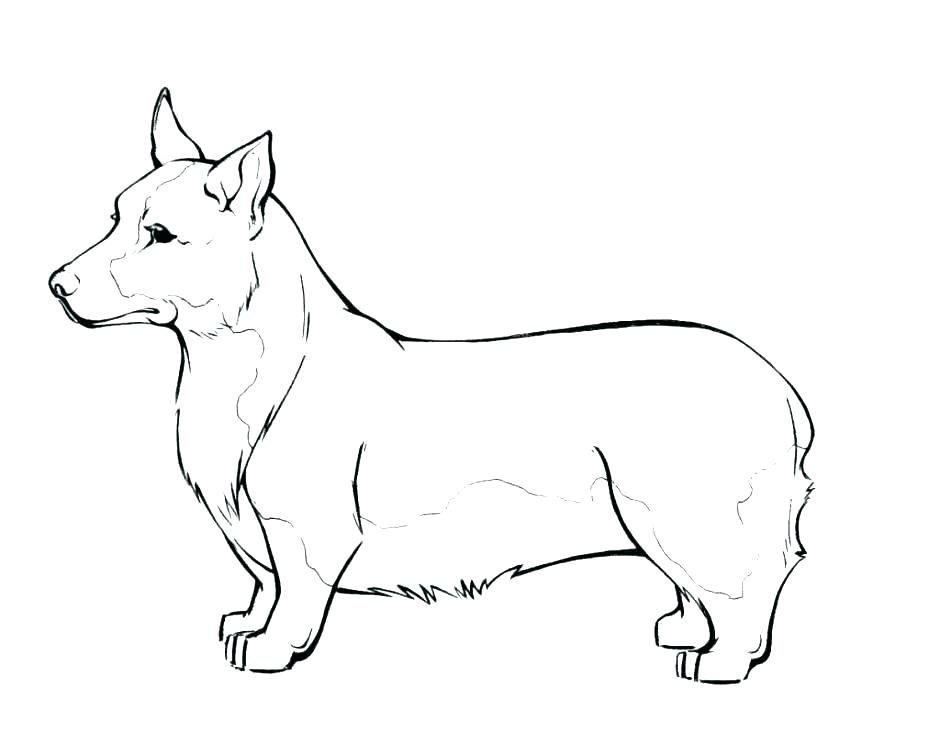 940x743 Dog Color Page Coloring Pages Cat Black Cat Coloring Pages Free