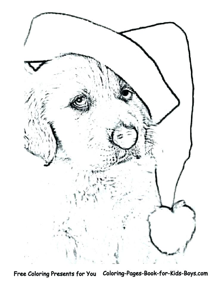736x952 Christmas Dog Coloring Pages Detailed Flower Coloring Pages Dog