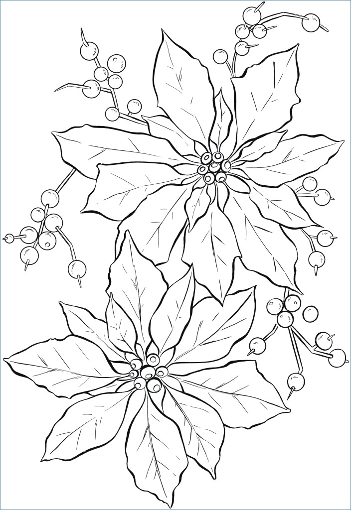 704x1024 Flower Coloring Pages For Kids Printable