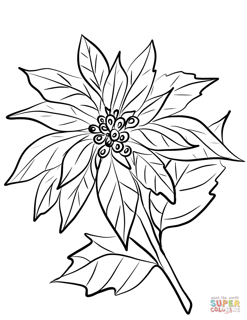 800x1035 Bouquet Of Flowers Coloring Pages