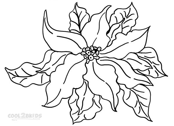 600x436 Poinsettia Coloring Pages