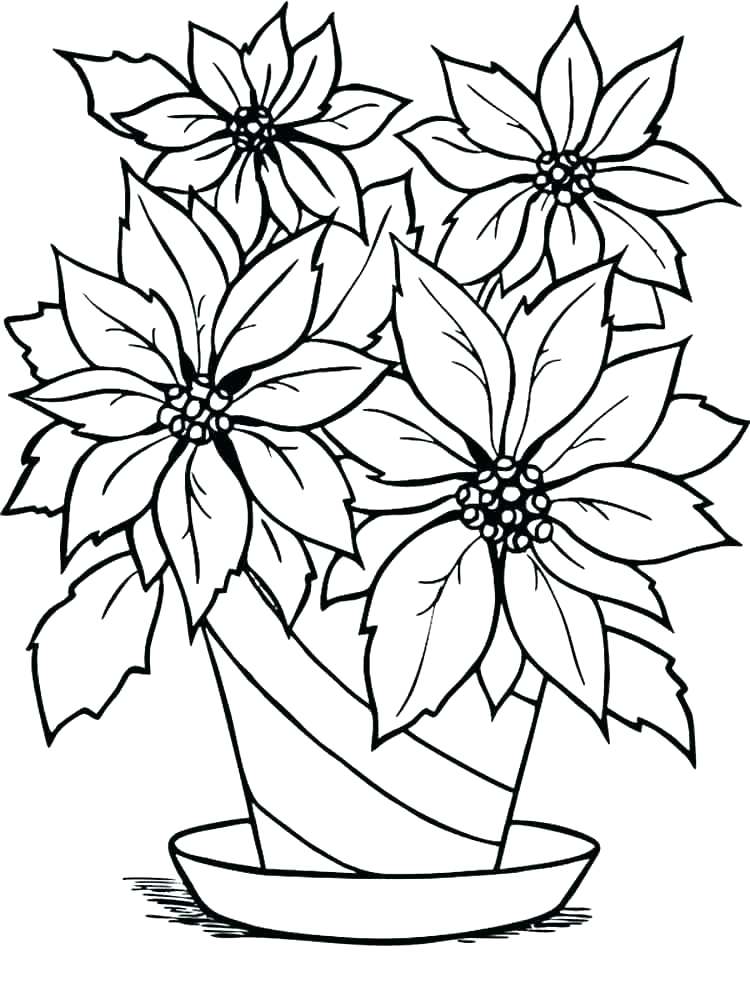 750x1000 Poinsettia Coloring Pages Flower Coloring Pages Poinsettia