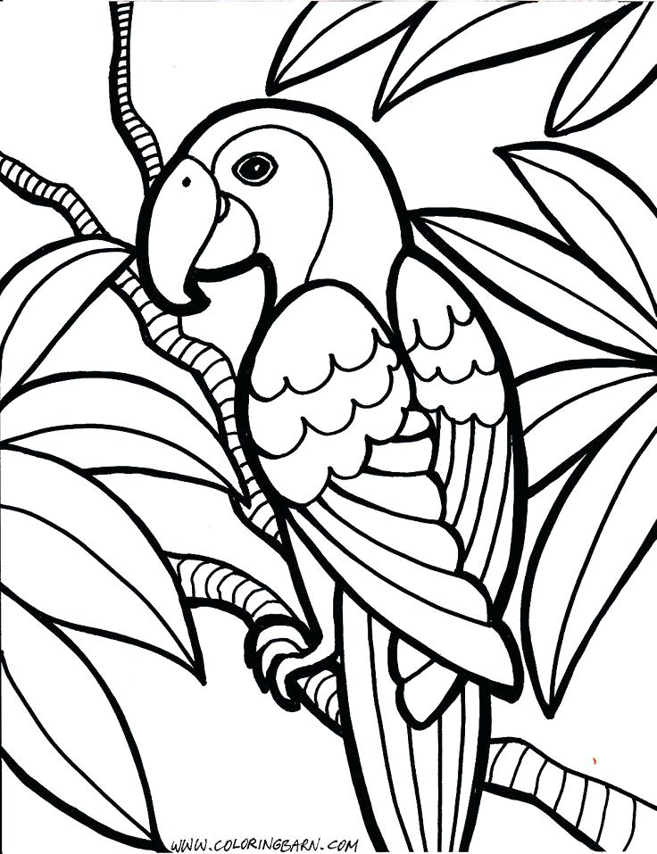 736x957 Coloring Pages Printable Free