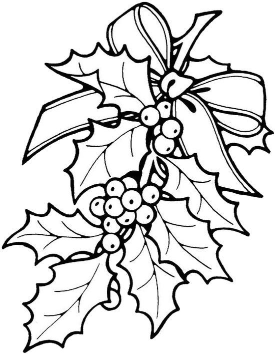 550x707 Christmas Flower Coloring Pages