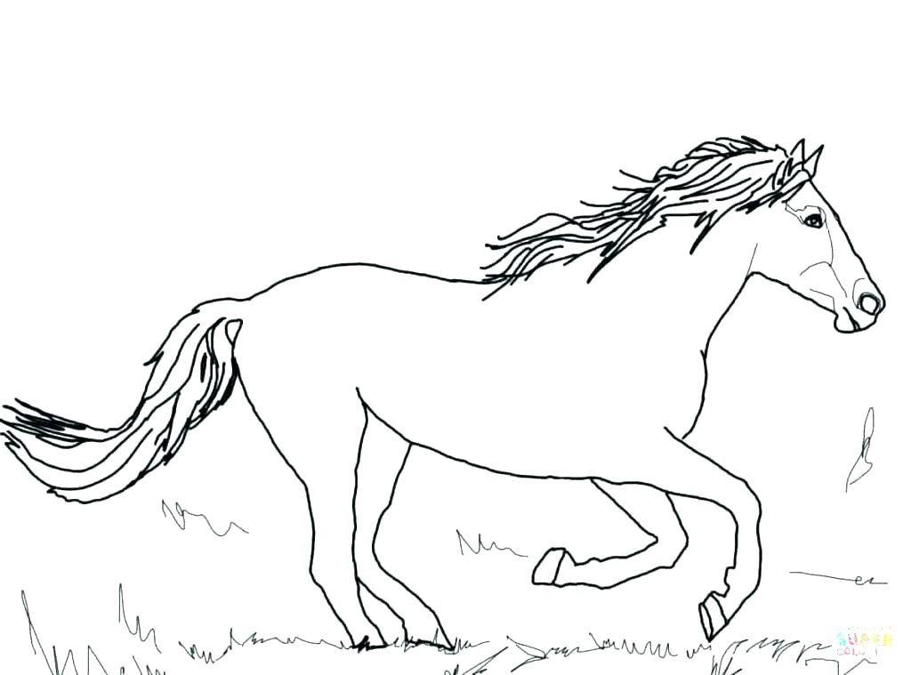 1024x759 Christmas Horse Coloring Pages Free Printable Cartoon Horse