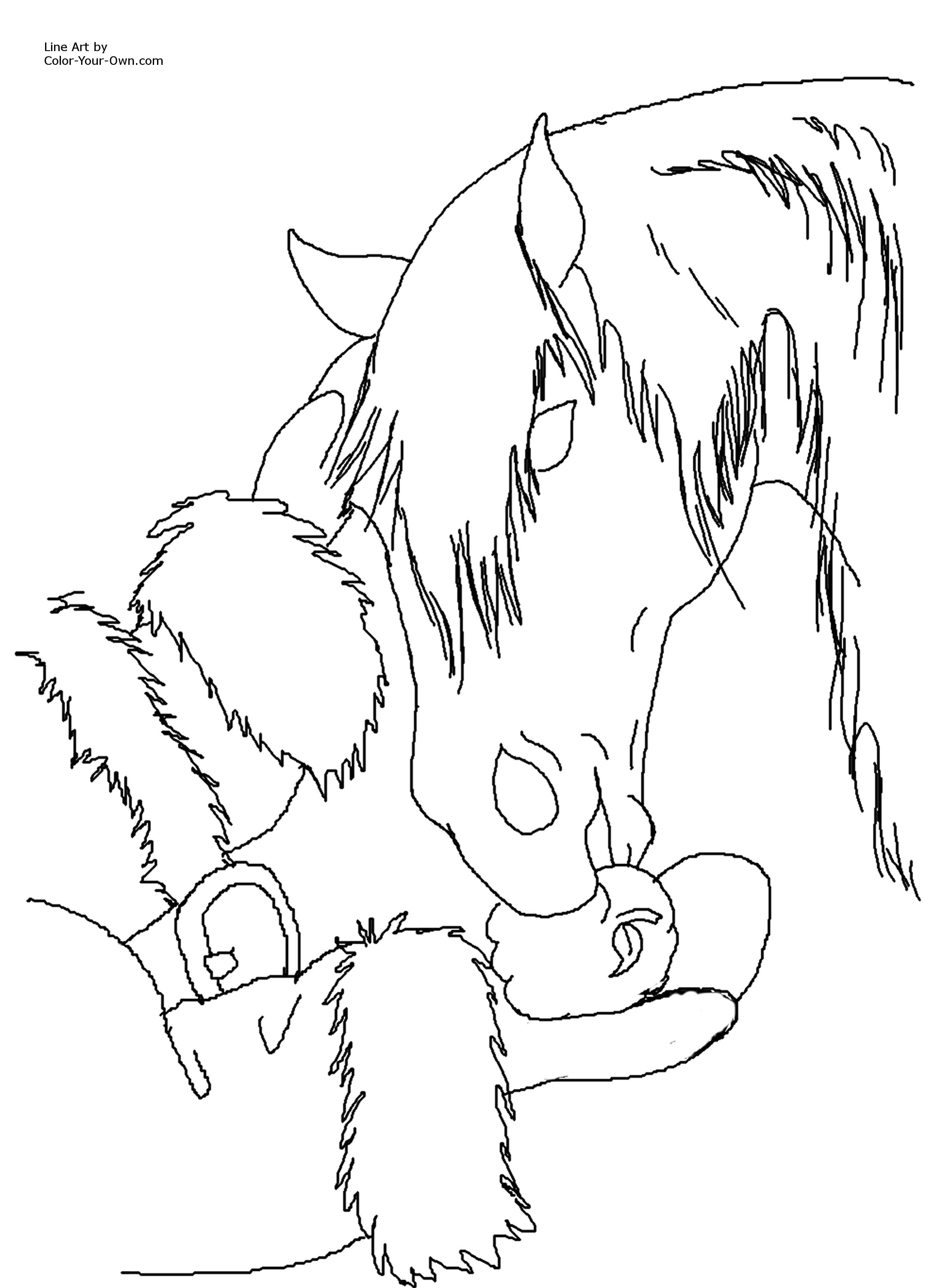 2188x3000 Horse Coloring Page
