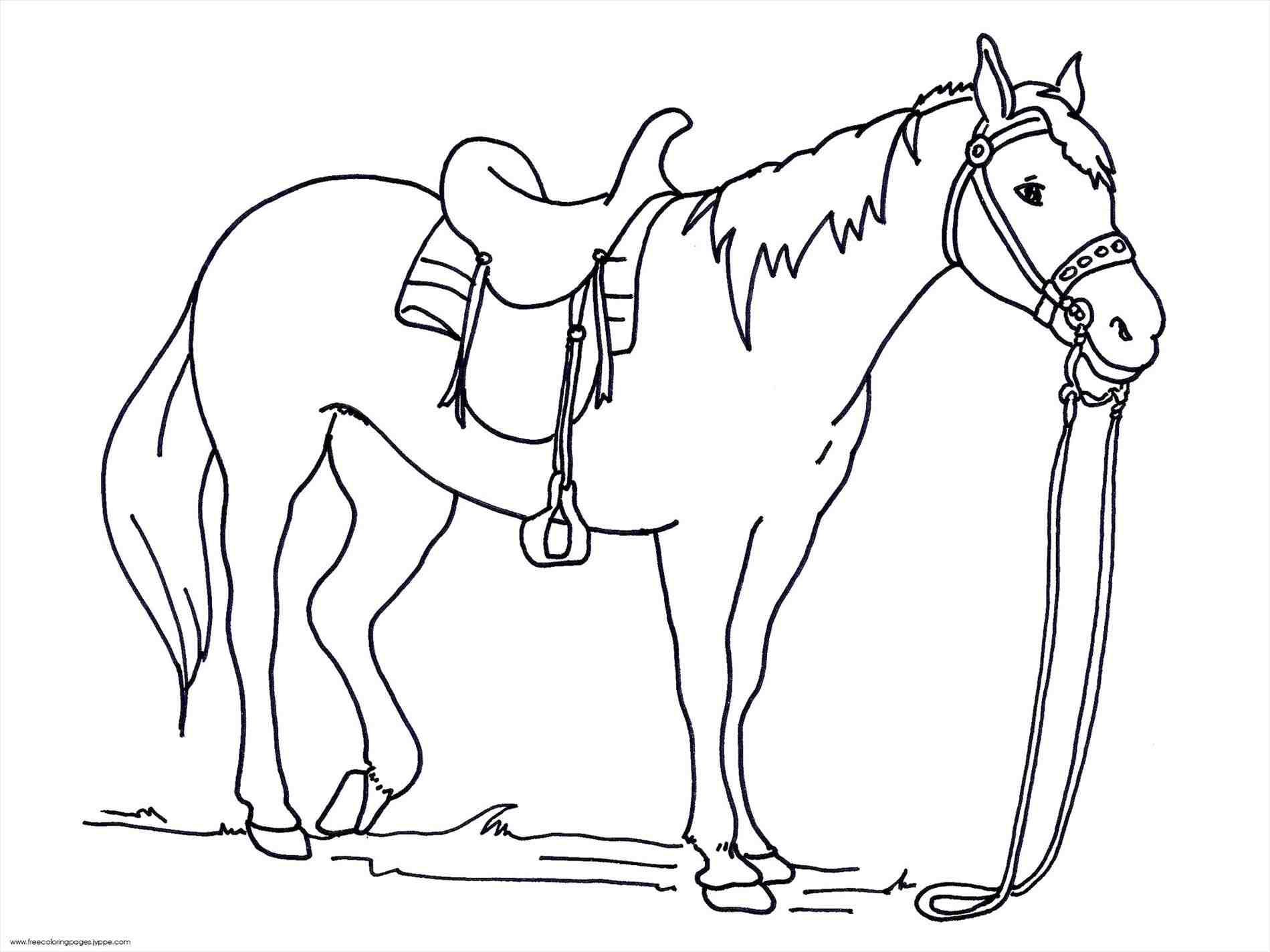 1899x1424 Sweet Horse Coloring Pages Printable Download