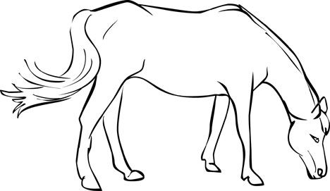 468x271 Free Horse Coloring Pages 8.jpg Pixels