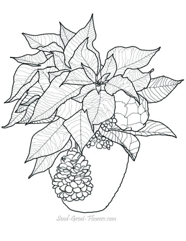 612x792 Mistletoe Coloring Pages Mistletoe Coloring Page Under