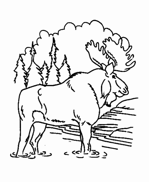 Christmas Moose Coloring Pages