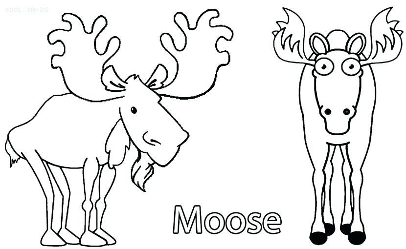 830x510 Moose Coloring Page Elk Moose Coloring Pages To Print