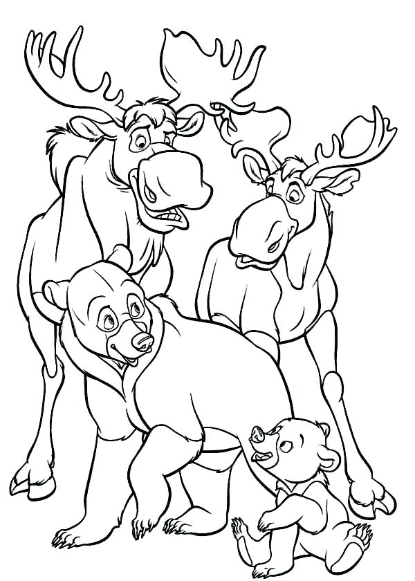 600x840 Moose Coloring Pages Coloring Trend Medium Size Moose Images Clip