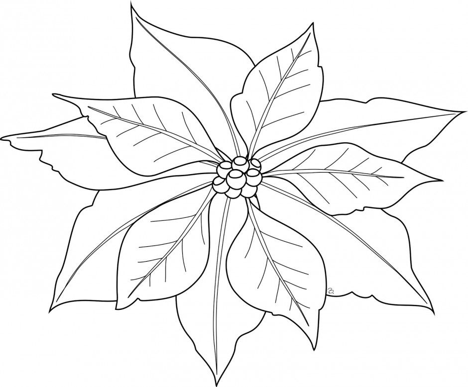 940x778 Christmas Tree Sketches