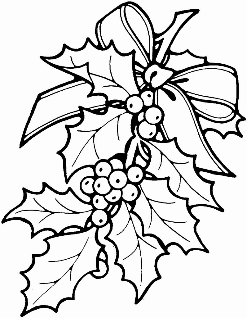 797x1024 9 Poinsettia Coloring Page Coloring Page