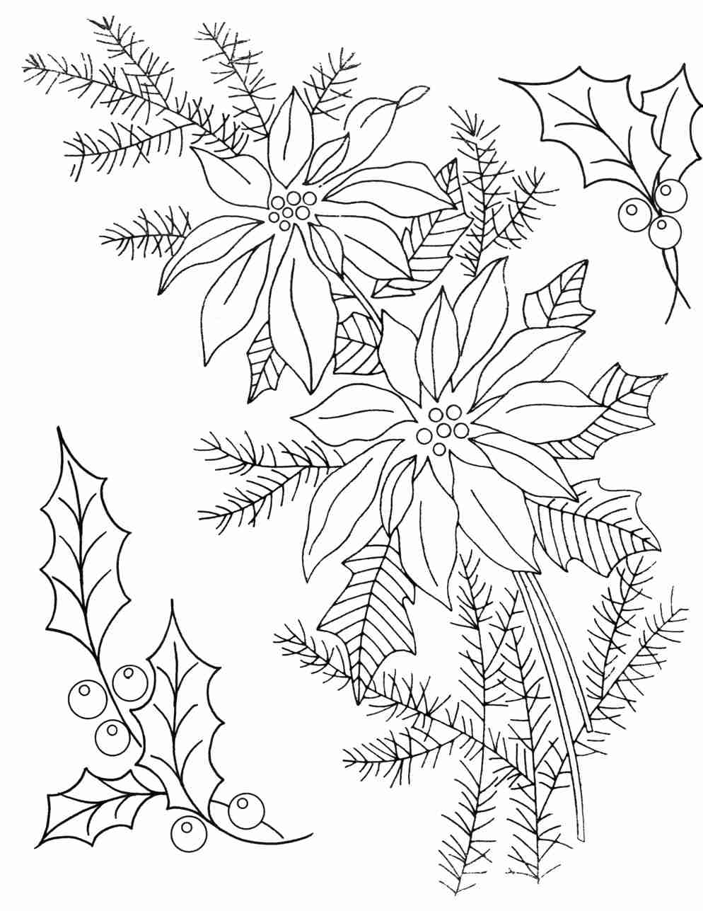 994x1287 Christmas Coloring Page For Adults Poinsettia Brilliant Olegratiy
