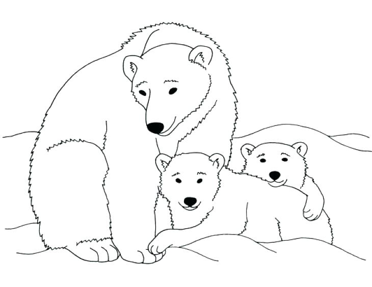 730x563 Bear Coloring Pages Free Printable Polar Throughout Prepare 9