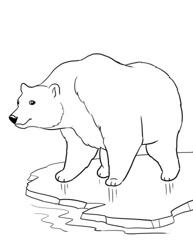 386x500 Polar Bear Coloring Pages Preschool