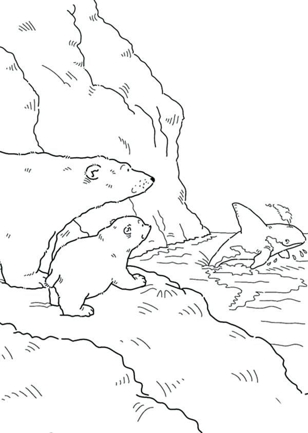 600x843 Polar Bear Coloring Pages