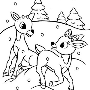 300x300 Reindeer Coloring Pages For Christmas