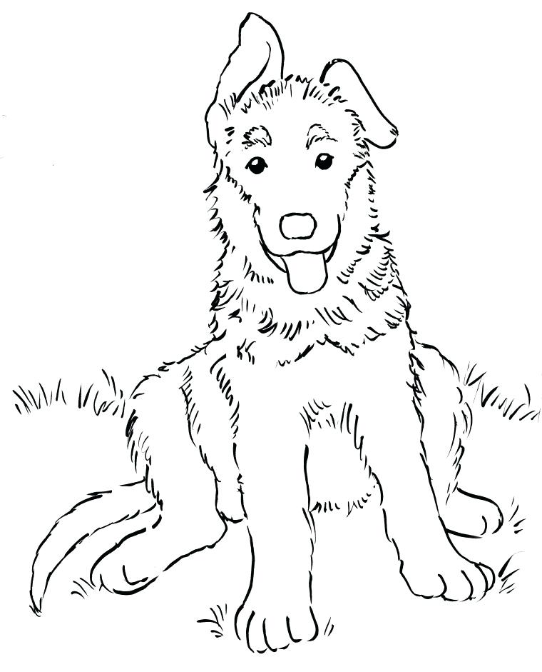 760x941 German Shepherd Coloring Pages Free Shepherd Coloring Page